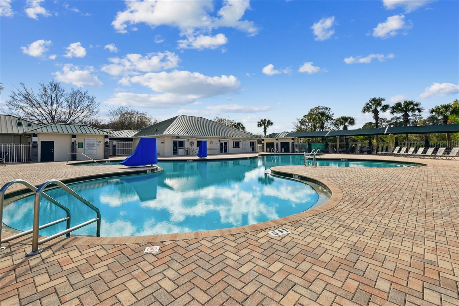 1743 RAVENRIDGE ST, WESLEY CHAPEL, FL, 33543