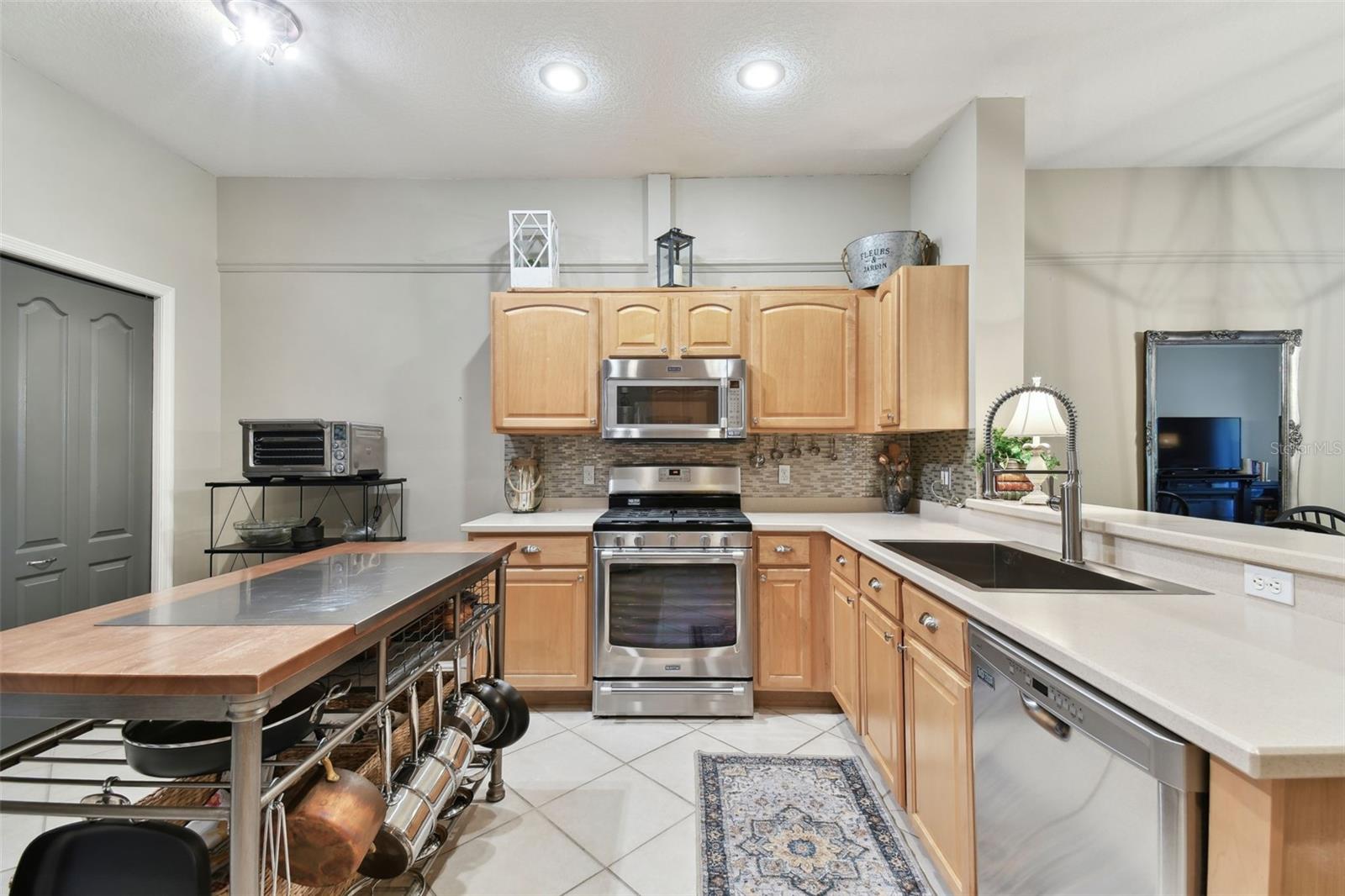 1743 RAVENRIDGE ST, WESLEY CHAPEL, FL, 33543