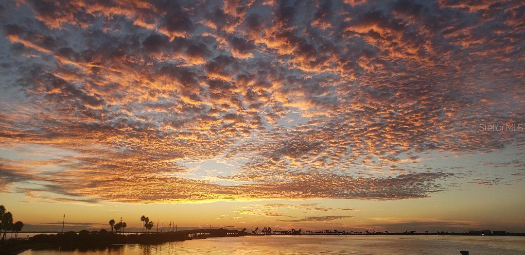 212 BUNKER HILL LN, DUNEDIN, FL, 34698