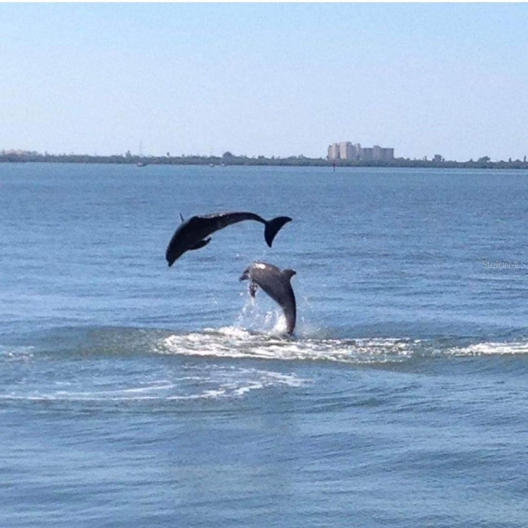 212 BUNKER HILL LN, DUNEDIN, FL, 34698