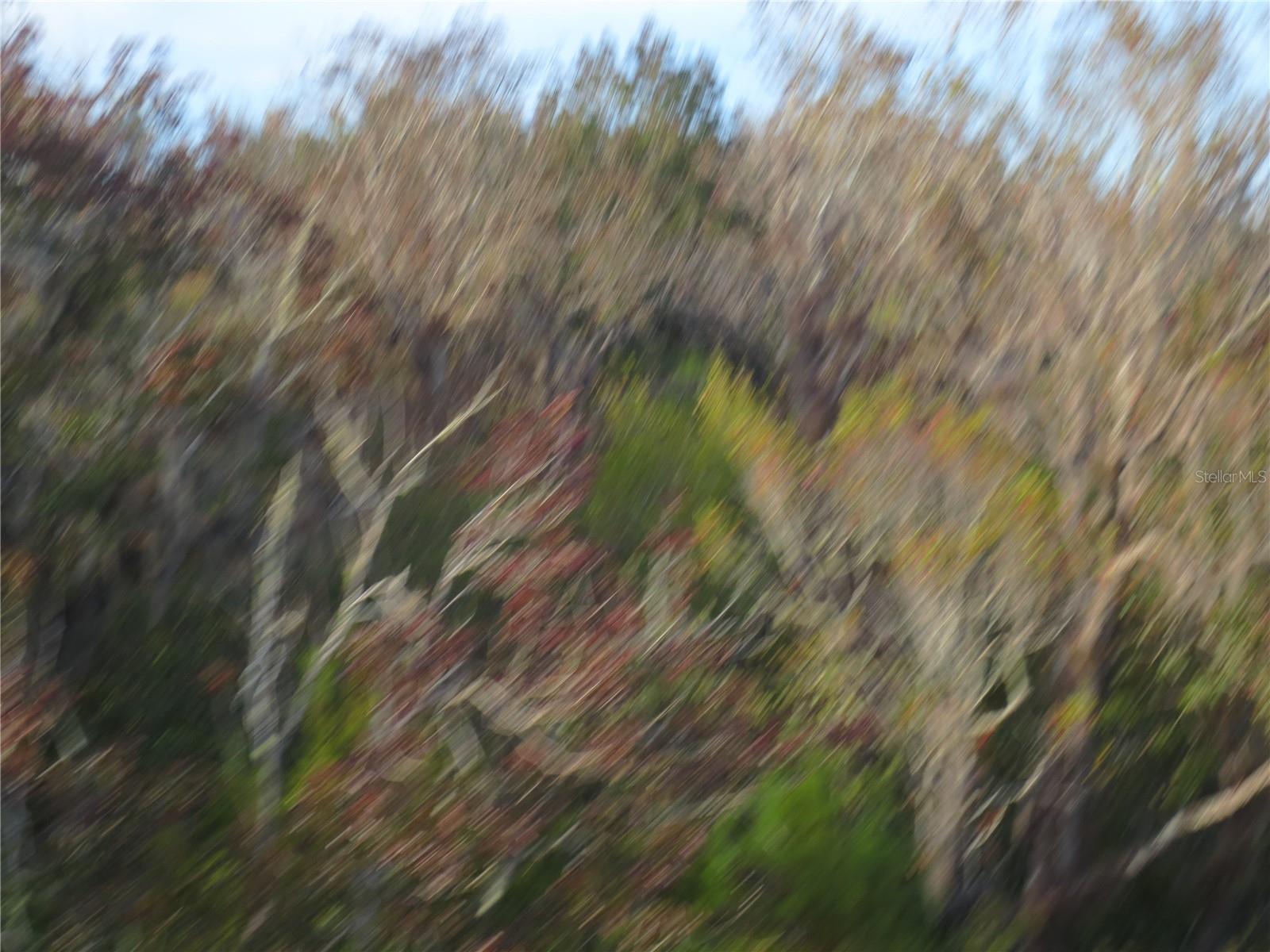 1540 SE 187TH AVE, SILVER SPRINGS, FL, 34488