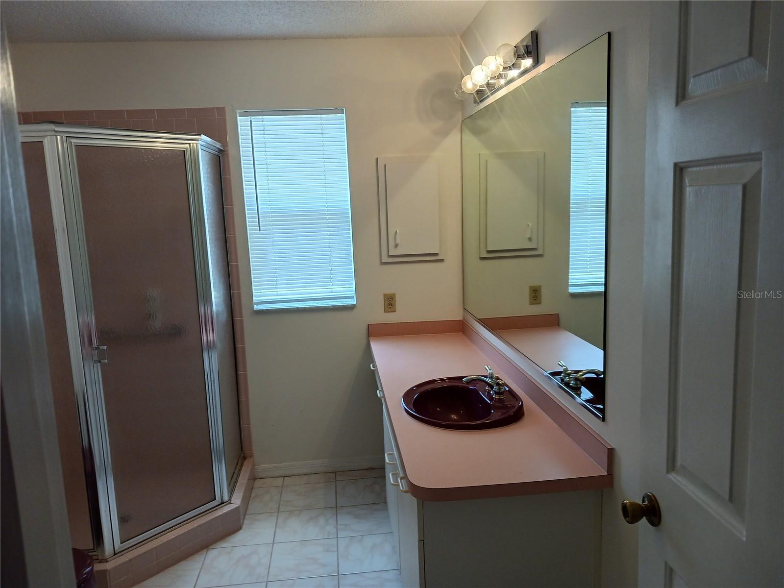 1219 SANTOS PL, LADY LAKE, FL, 32159