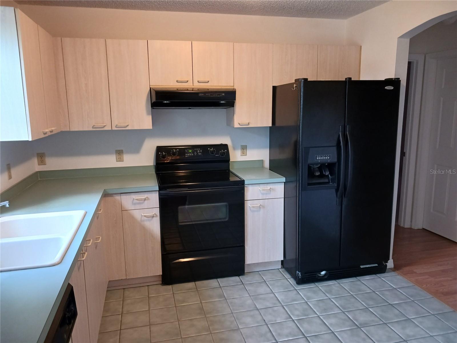 1219 SANTOS PL, LADY LAKE, FL, 32159