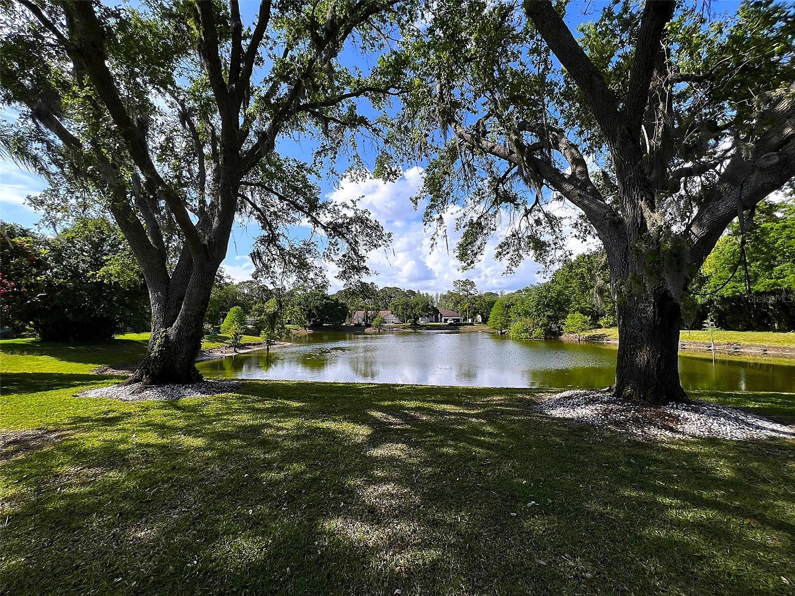 17423 EQUESTRIAN TRL, ODESSA, FL, 33556