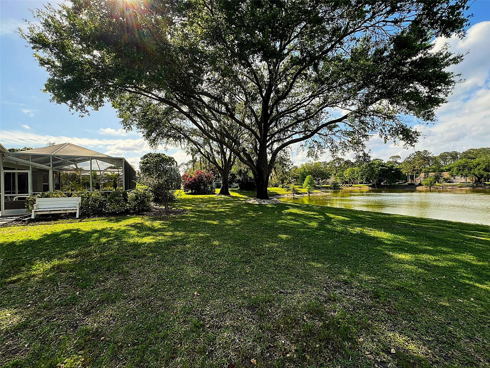 17423 EQUESTRIAN TRL, ODESSA, FL, 33556