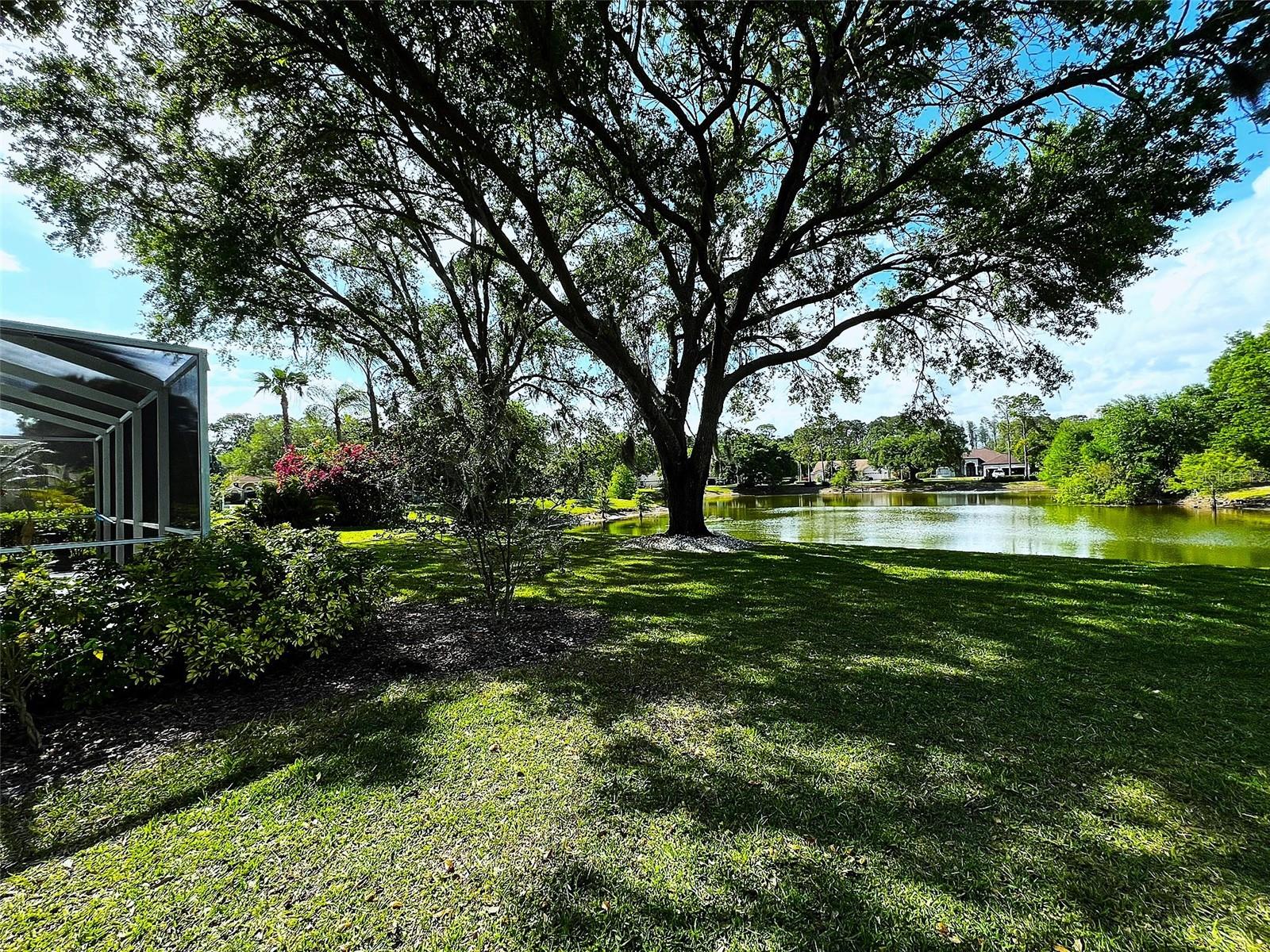 17423 EQUESTRIAN TRL, ODESSA, FL, 33556