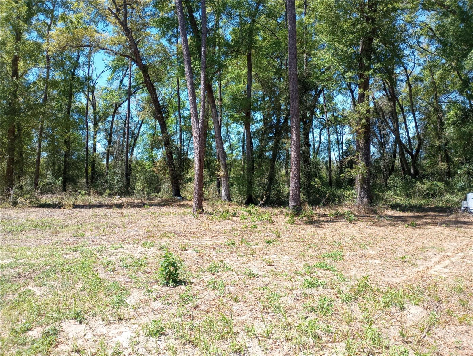 TBD SW 38TH AVE, OCALA, FL, 34476