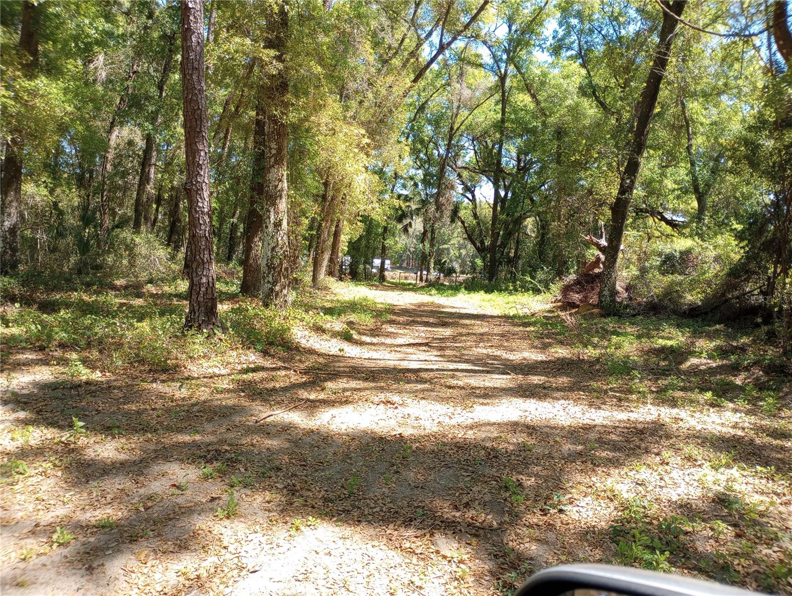 TBD SW 38TH AVE, OCALA, FL, 34476