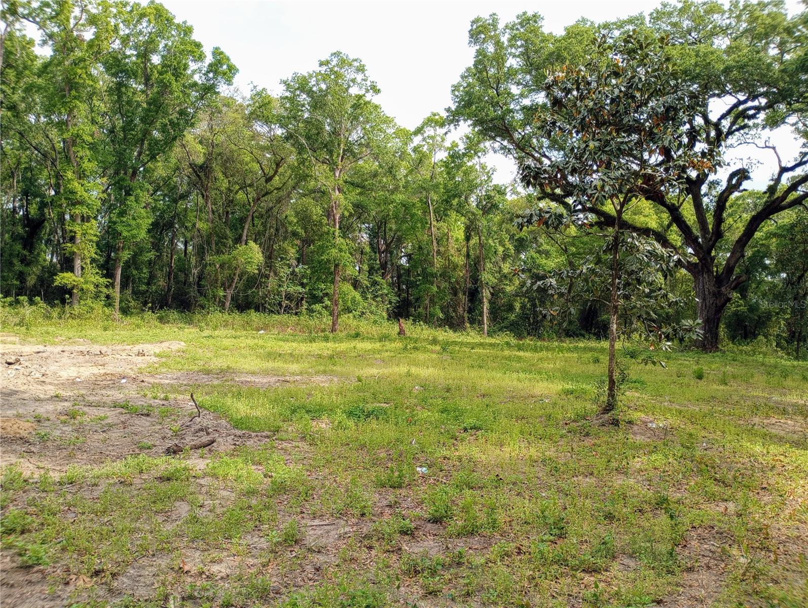 TBD SW 38TH AVE, OCALA, FL, 34476