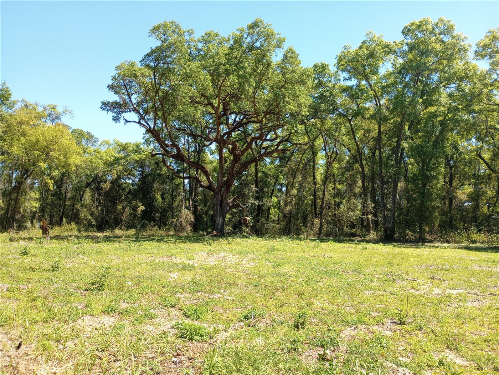 TBD SW 38TH AVE, OCALA, FL, 34476