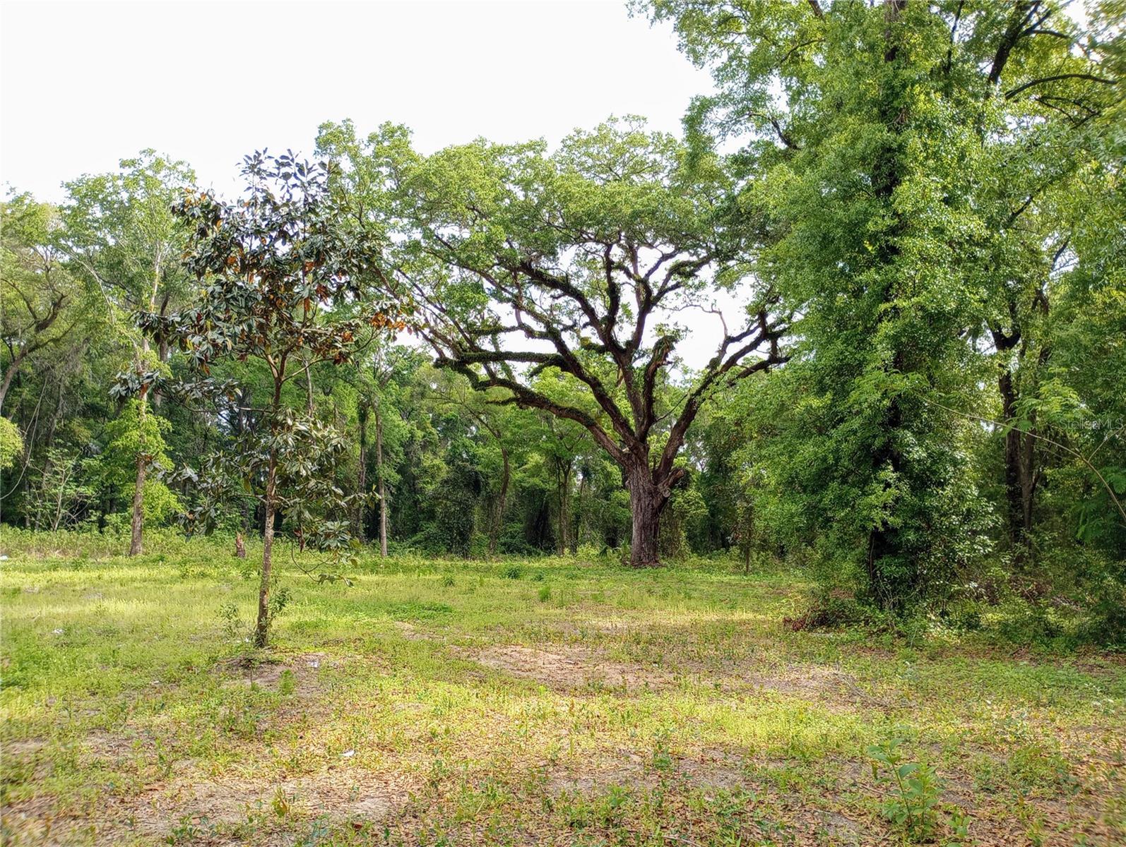 TBD SW 38TH AVE, OCALA, FL, 34476