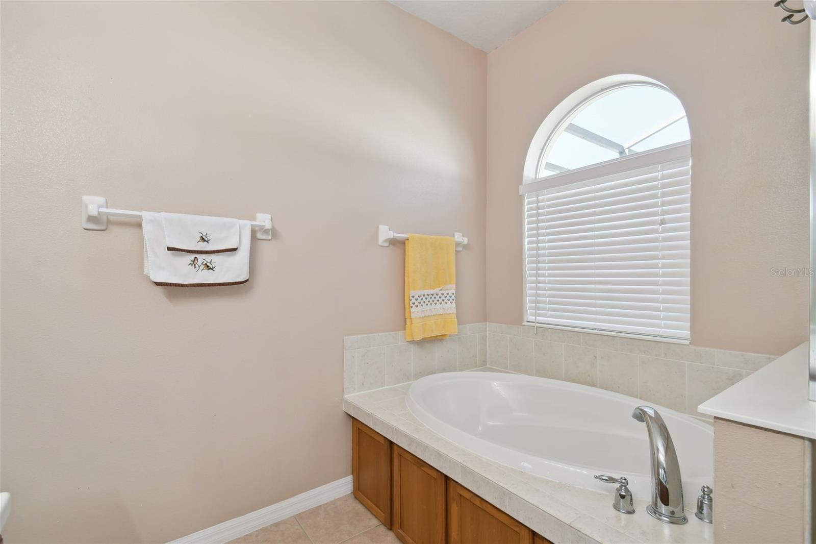 258 HENLEY CIR, DAVENPORT, FL, 33896