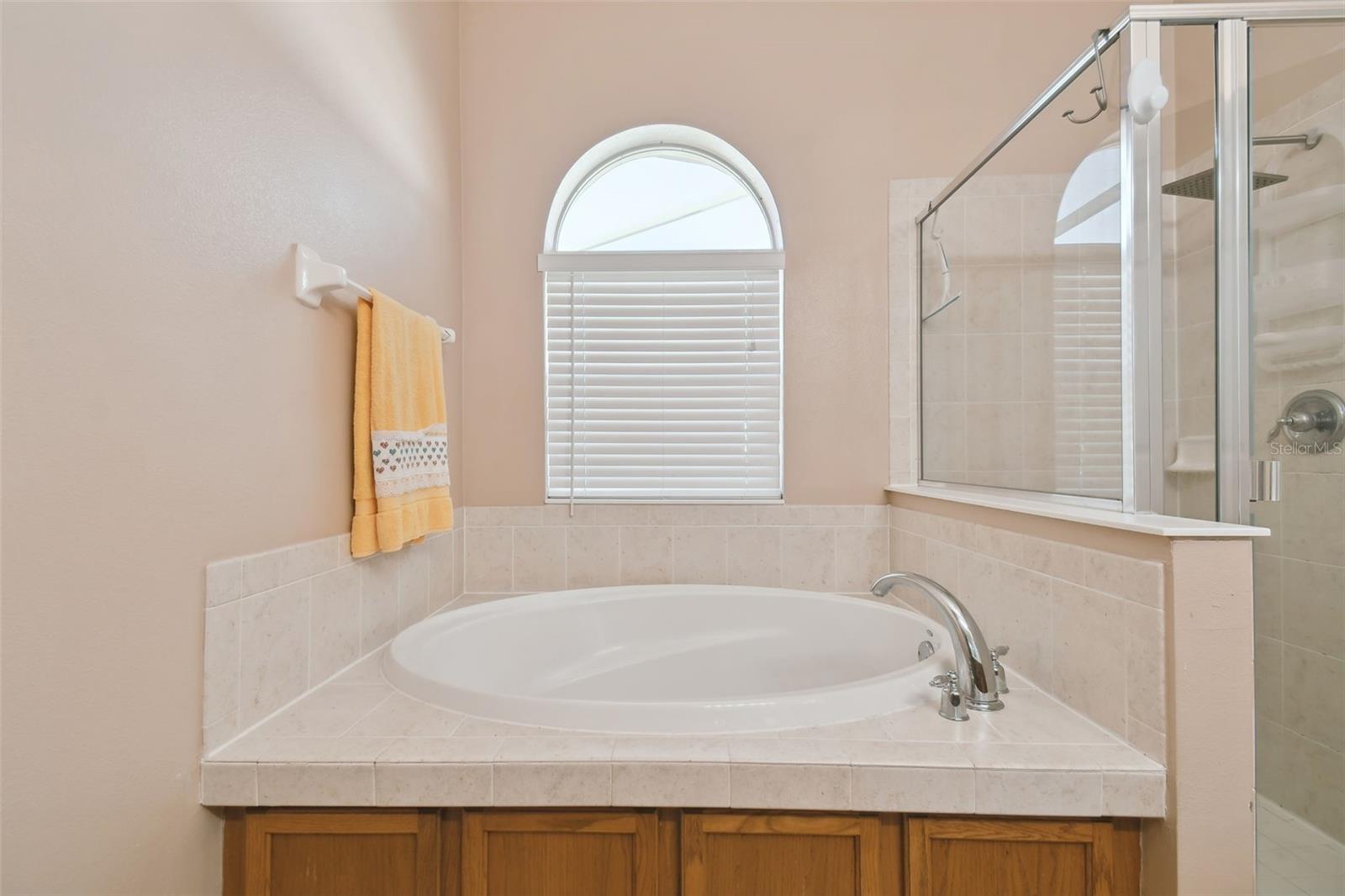 258 HENLEY CIR, DAVENPORT, FL, 33896