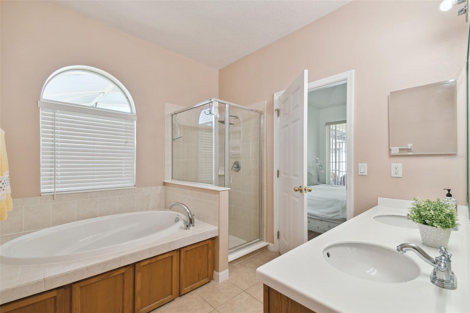 258 HENLEY CIR, DAVENPORT, FL, 33896