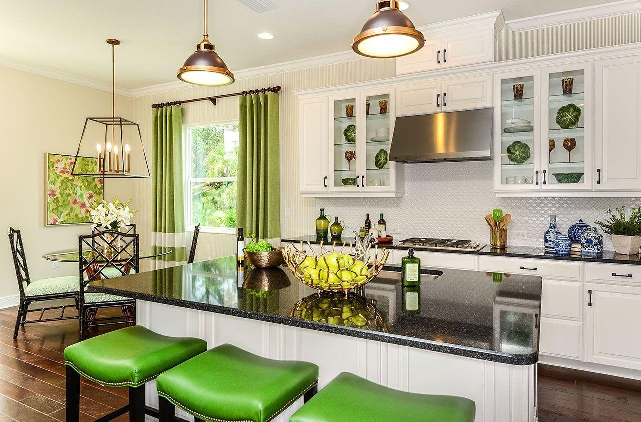 21221 WACISSA DR, VENICE, FL, 34293