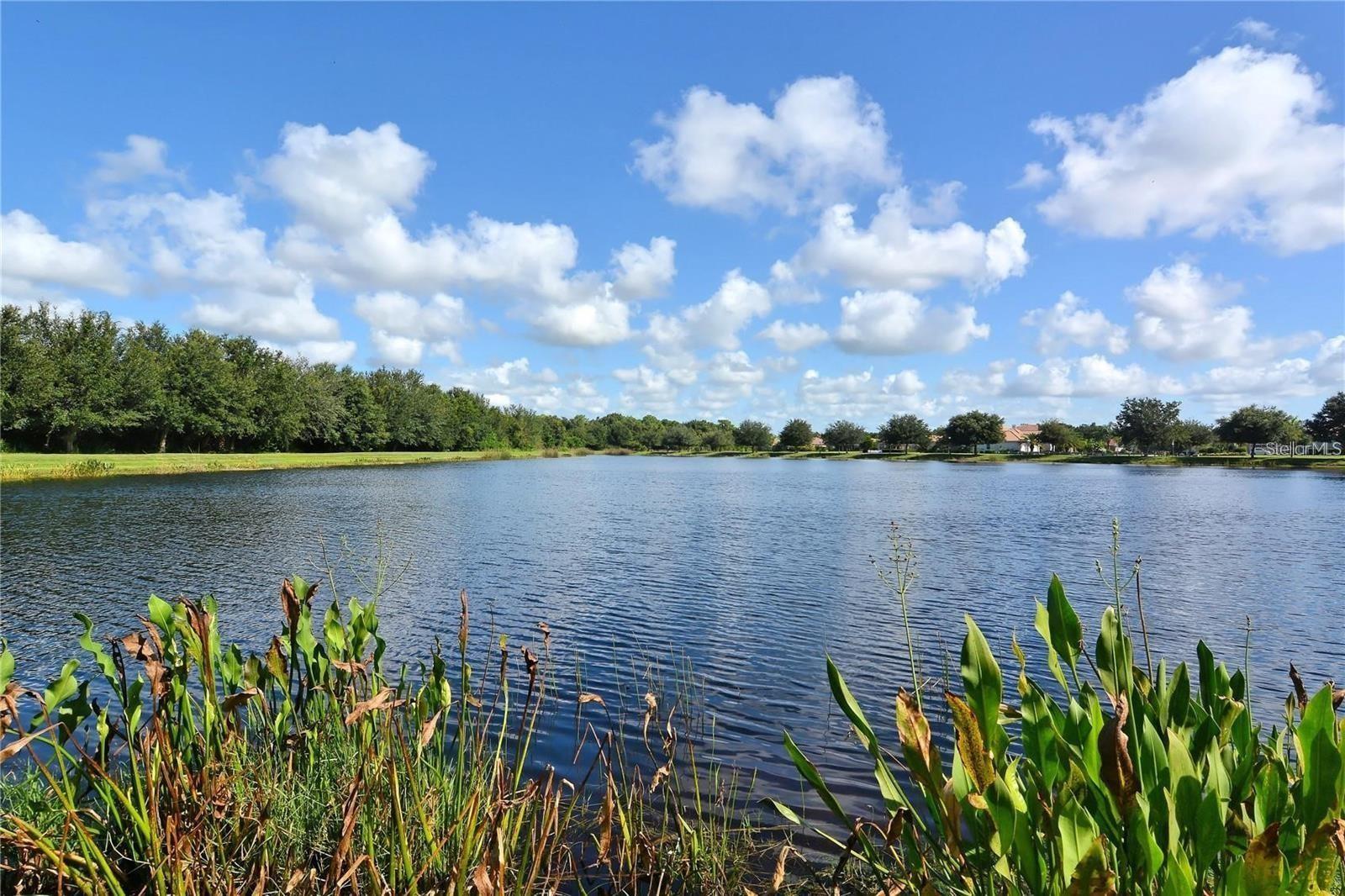 12810 KITE DR, BRADENTON, FL, 34212