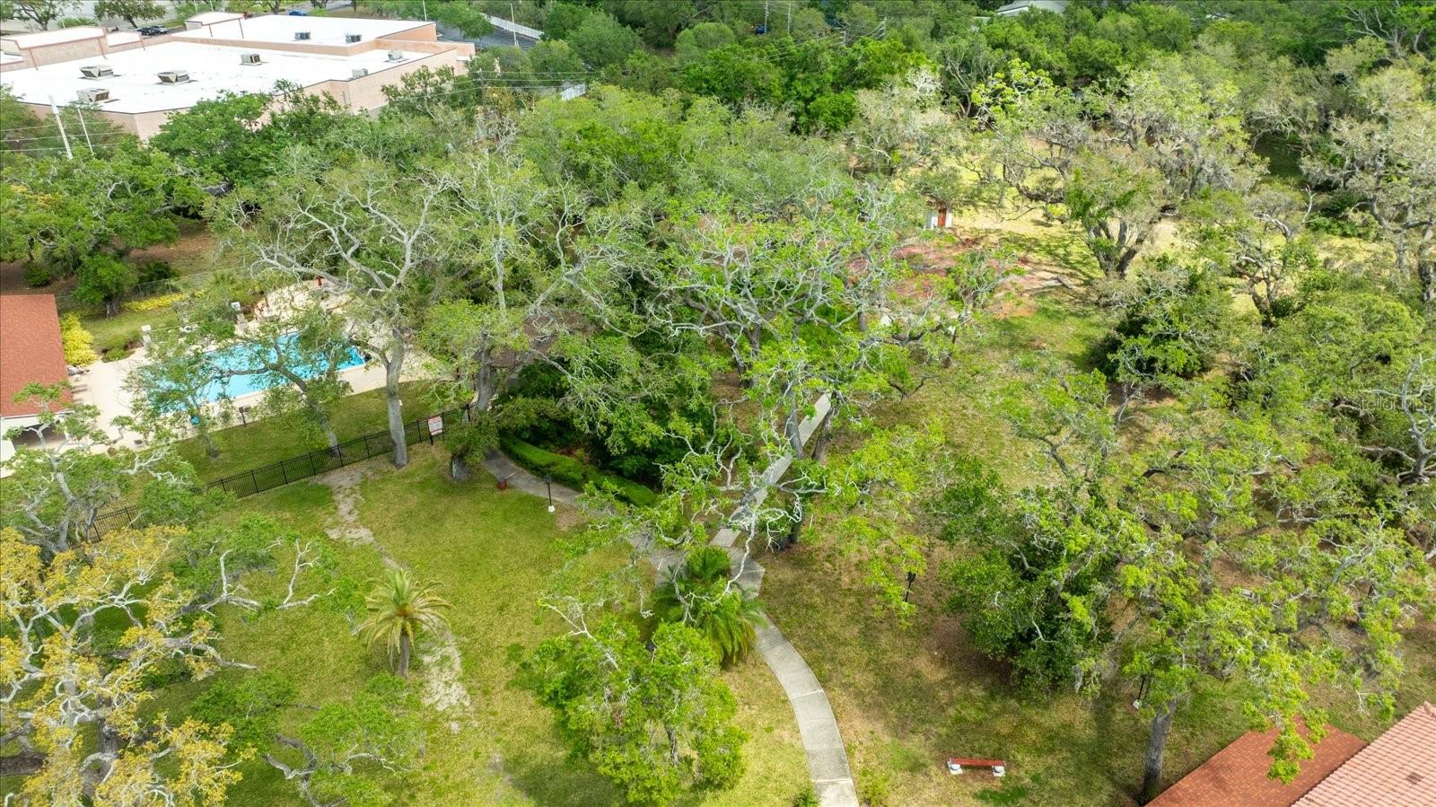1012 PEARCE DR #304, CLEARWATER, FL, 33764