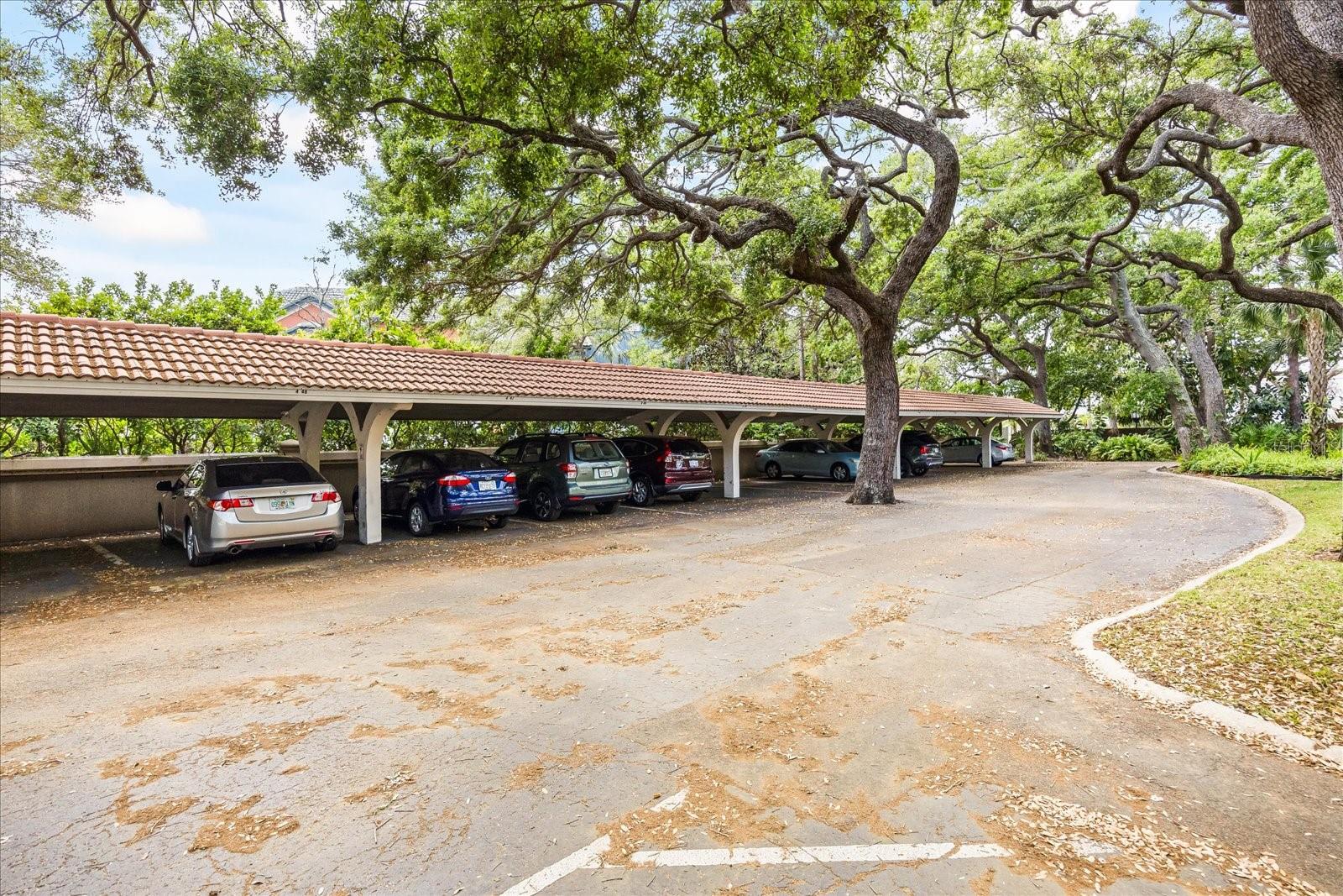 1012 PEARCE DR #304, CLEARWATER, FL, 33764