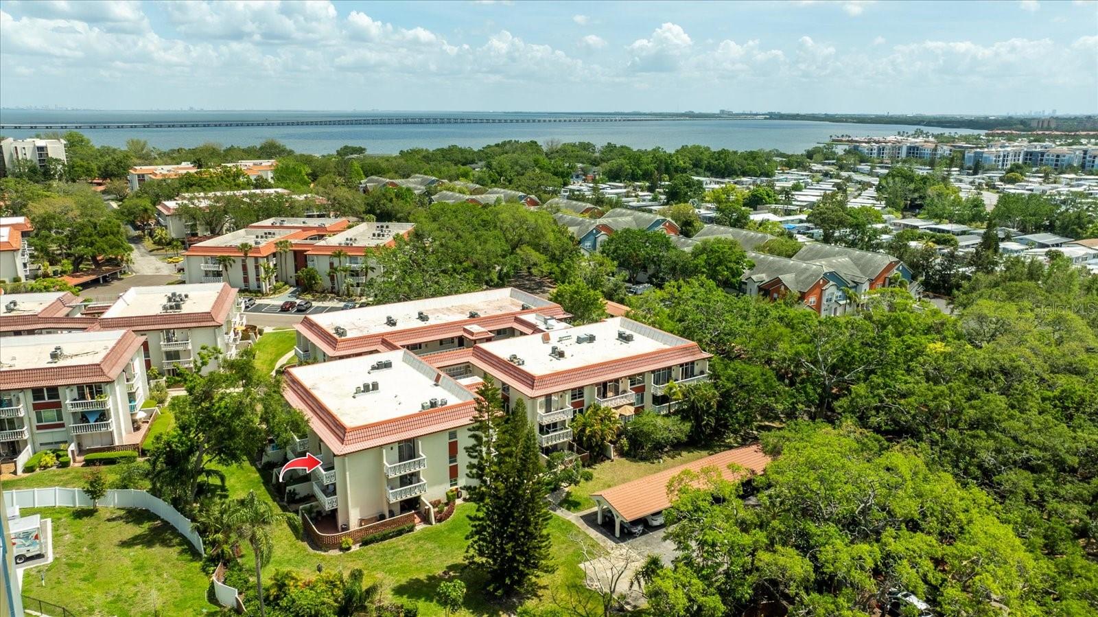 1012 PEARCE DR #304, CLEARWATER, FL, 33764