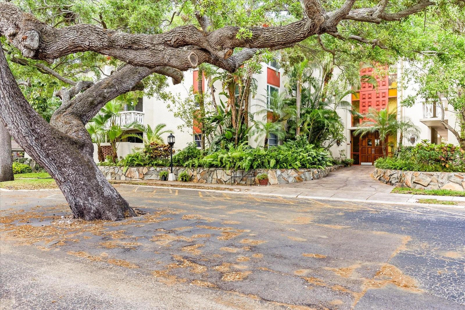 1012 PEARCE DR #304, CLEARWATER, FL, 33764