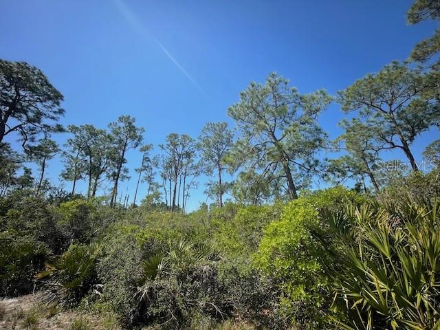 3031 WOODLAND CREEK TRL, SEBRING, FL, 33875