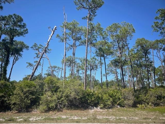 3031 WOODLAND CREEK TRL, SEBRING, FL, 33875