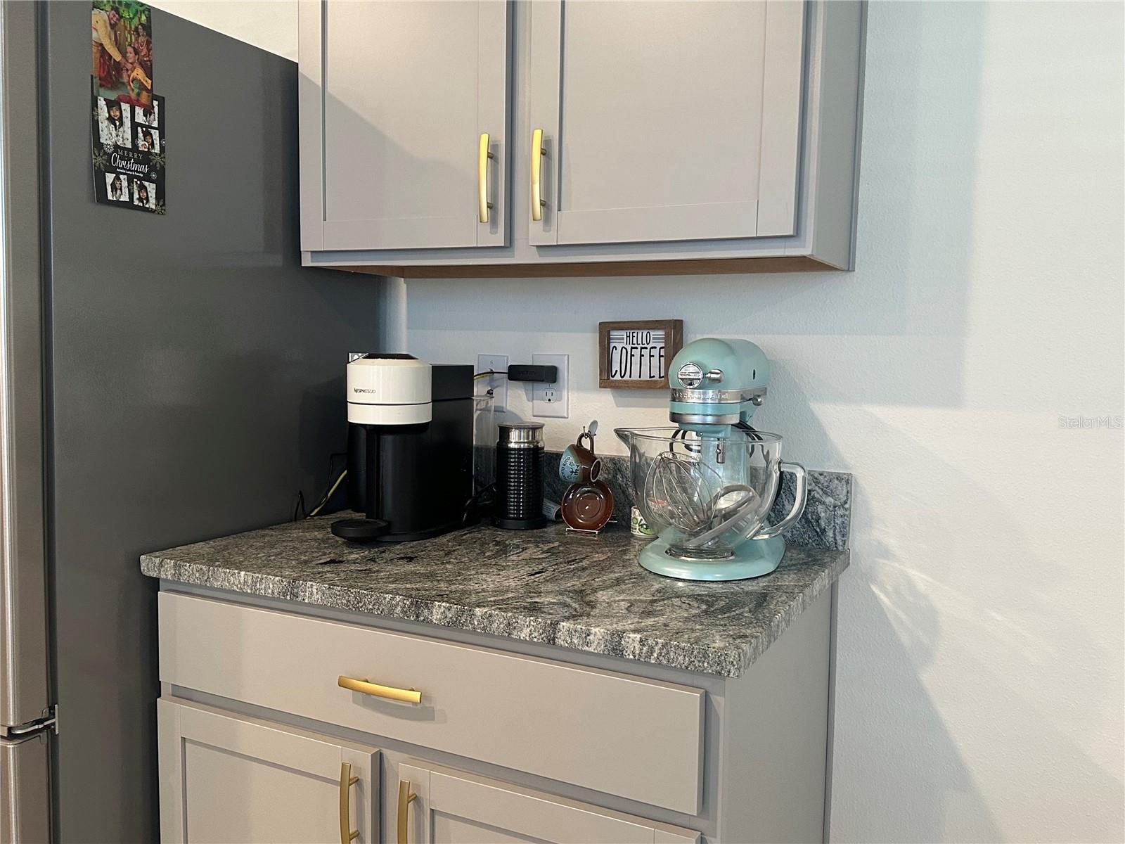 2943 COMMON FIG RUN, WESLEY CHAPEL, FL, 33543