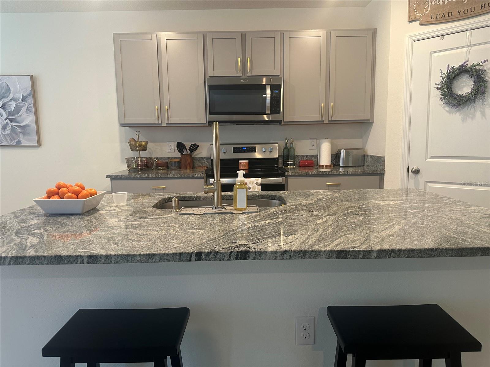 2943 COMMON FIG RUN, WESLEY CHAPEL, FL, 33543