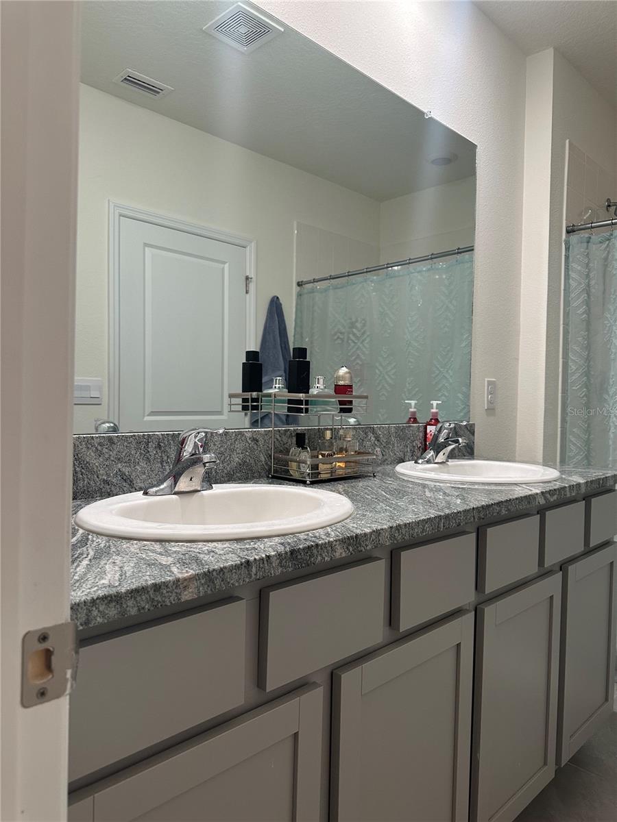 2943 COMMON FIG RUN, WESLEY CHAPEL, FL, 33543