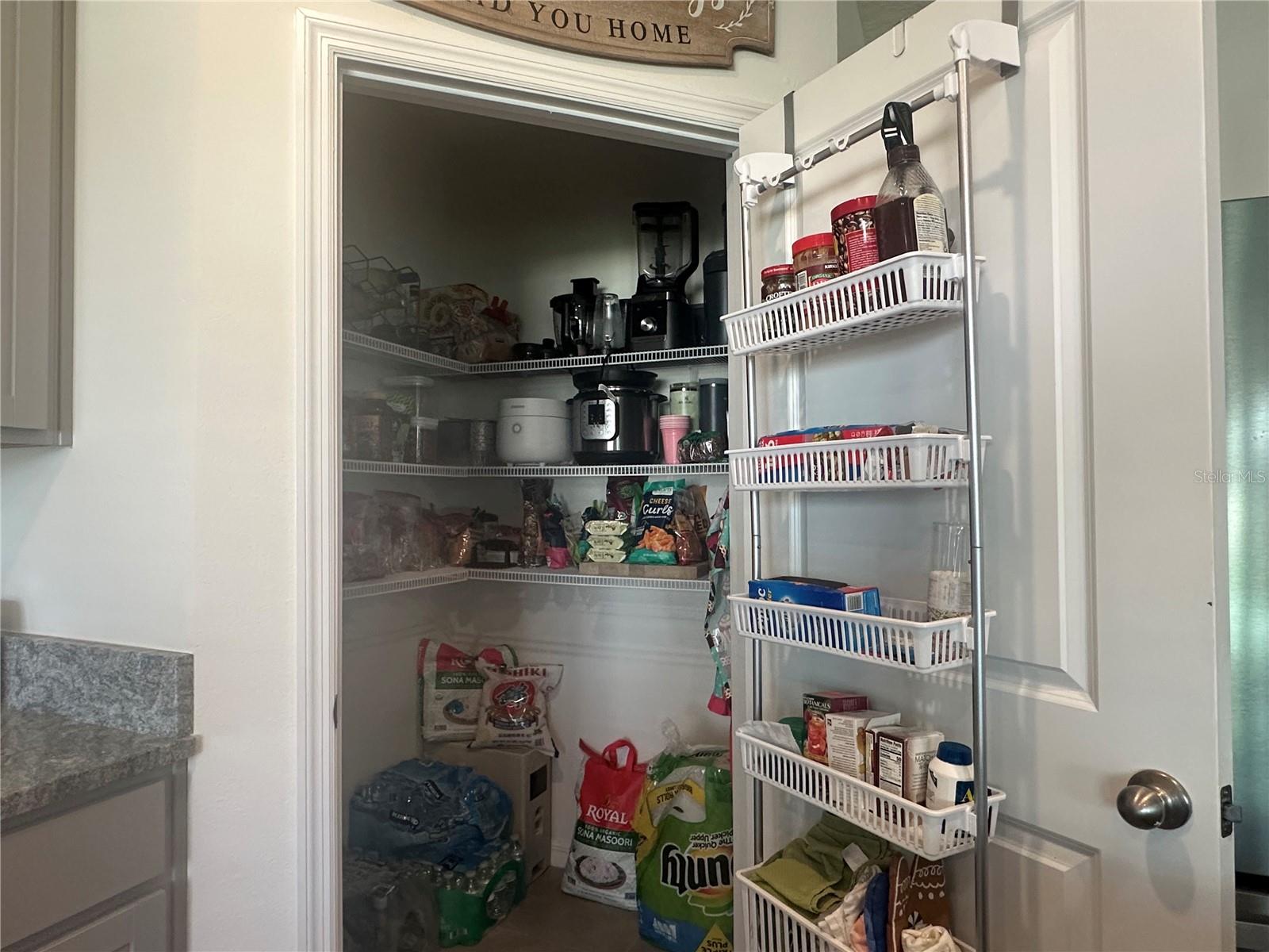 2943 COMMON FIG RUN, WESLEY CHAPEL, FL, 33543