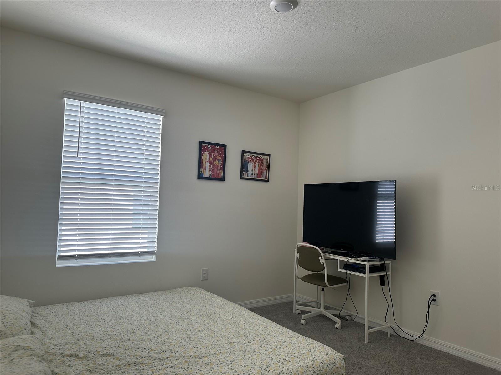 2943 COMMON FIG RUN, WESLEY CHAPEL, FL, 33543