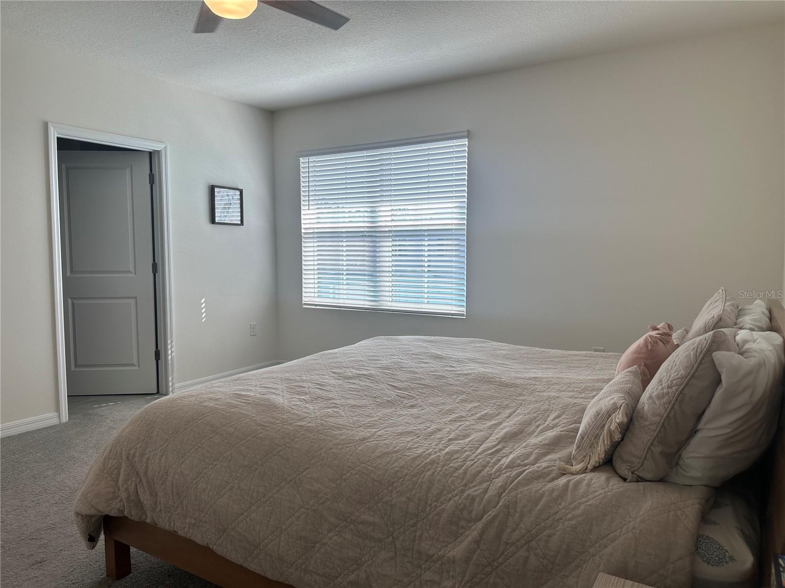 2943 COMMON FIG RUN, WESLEY CHAPEL, FL, 33543