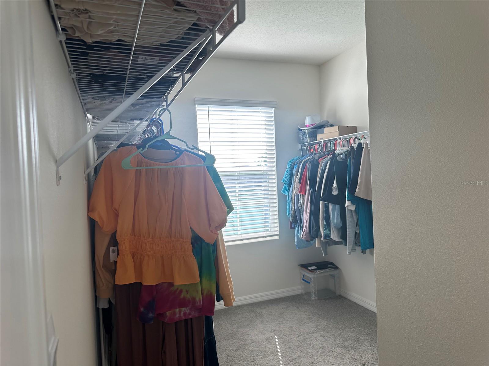 2943 COMMON FIG RUN, WESLEY CHAPEL, FL, 33543