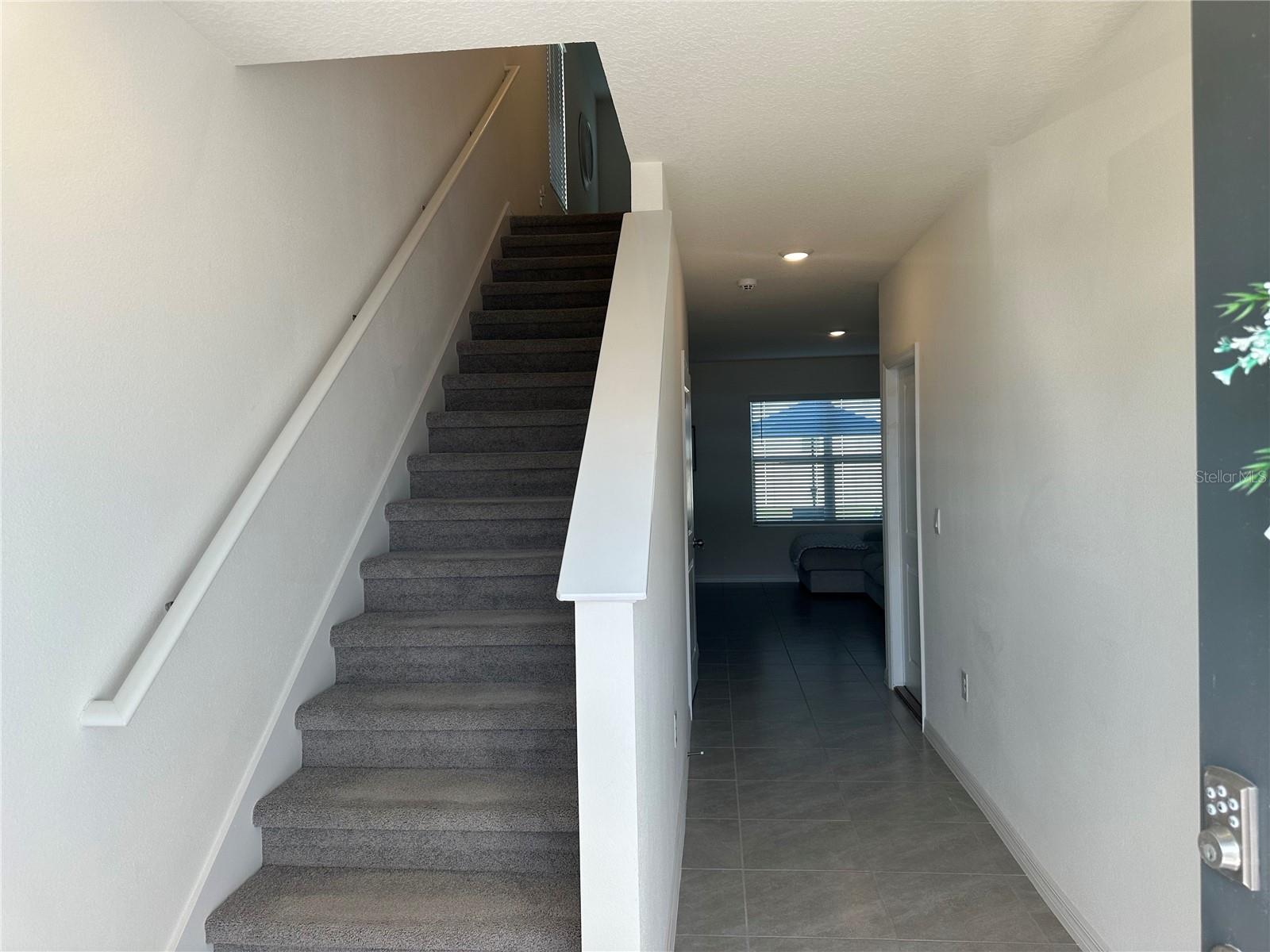 2943 COMMON FIG RUN, WESLEY CHAPEL, FL, 33543