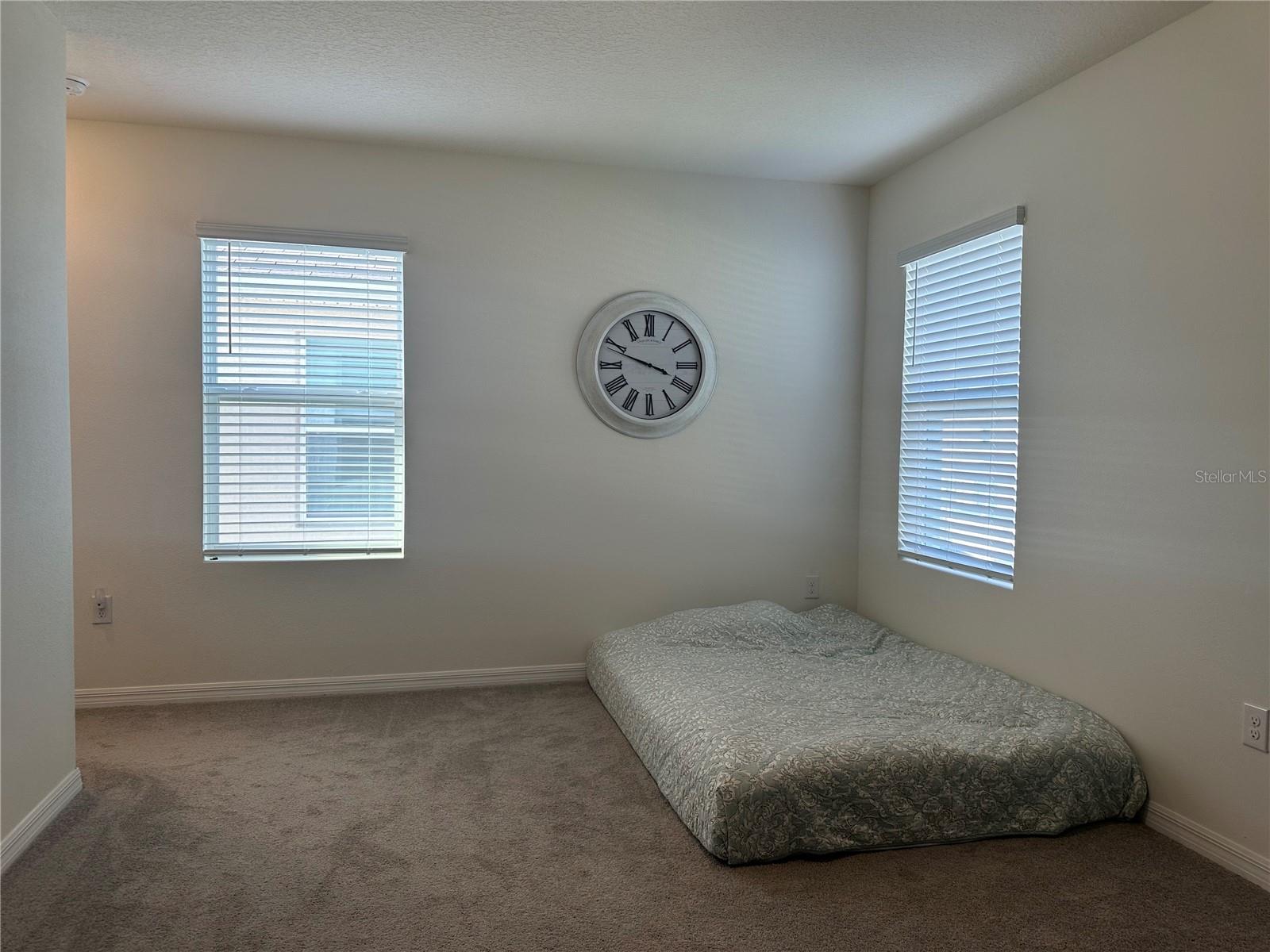 2943 COMMON FIG RUN, WESLEY CHAPEL, FL, 33543