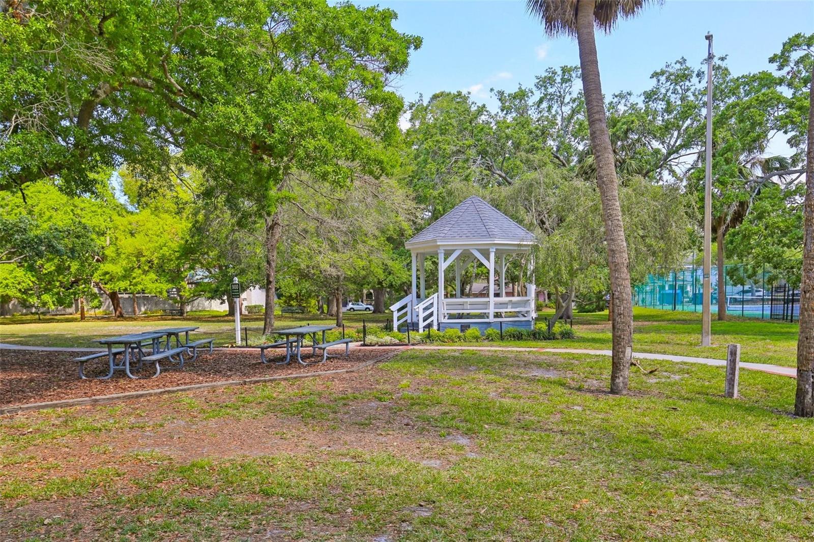 2807 BAYSHORE BLVD, TAMPA, FL, 33629