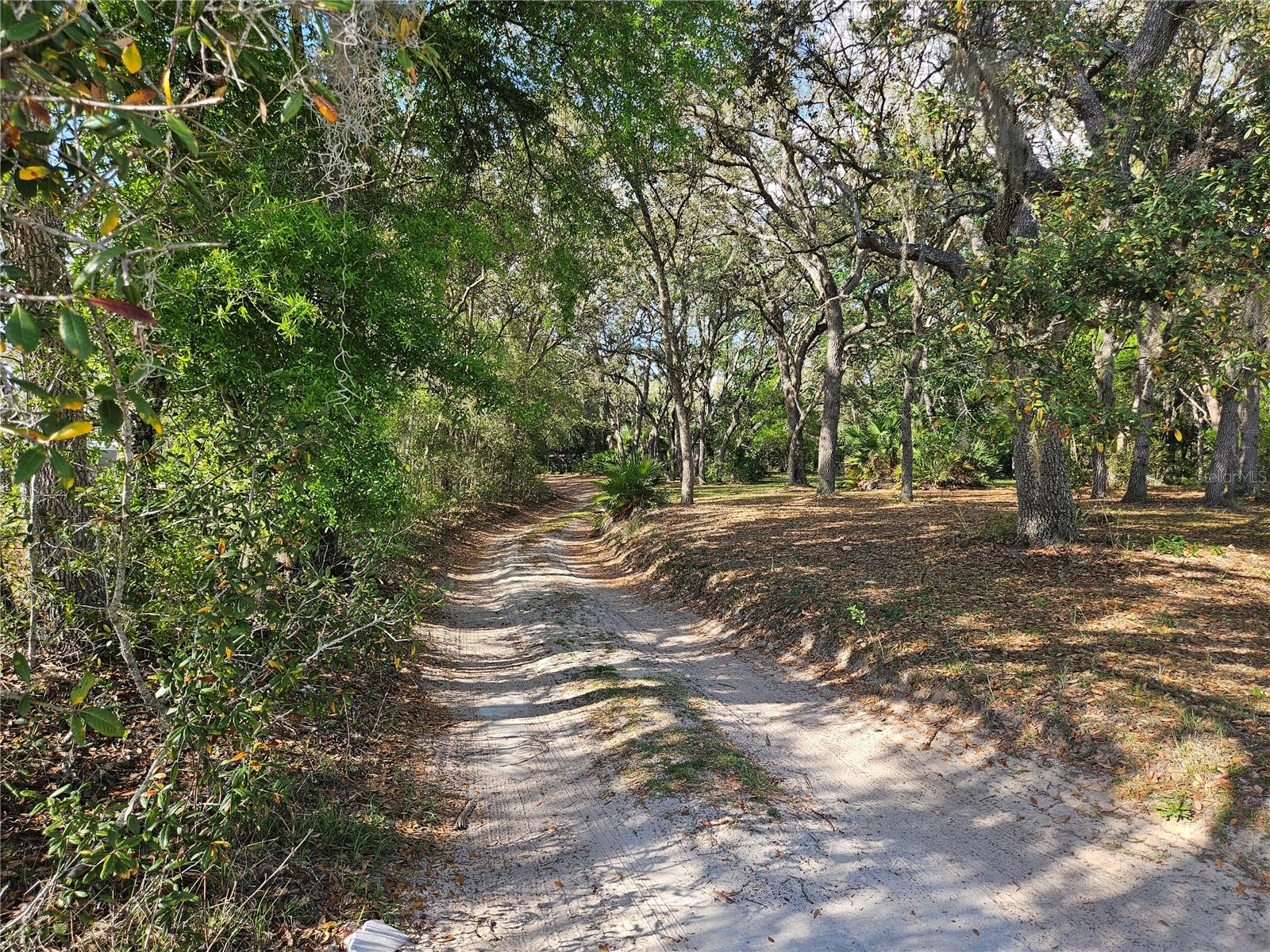 16527 SW 47TH PLACE RD, OCALA, FL, 34481