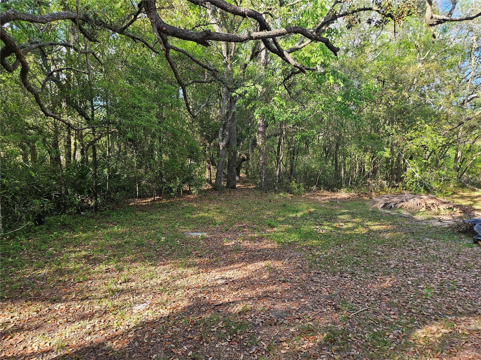 16527 SW 47TH PLACE RD, OCALA, FL, 34481