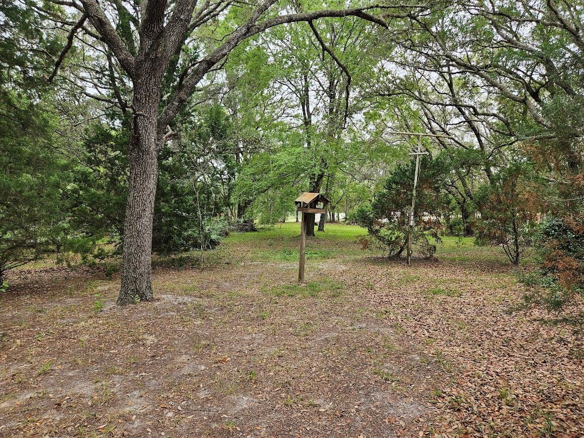 16527 SW 47TH PLACE RD, OCALA, FL, 34481