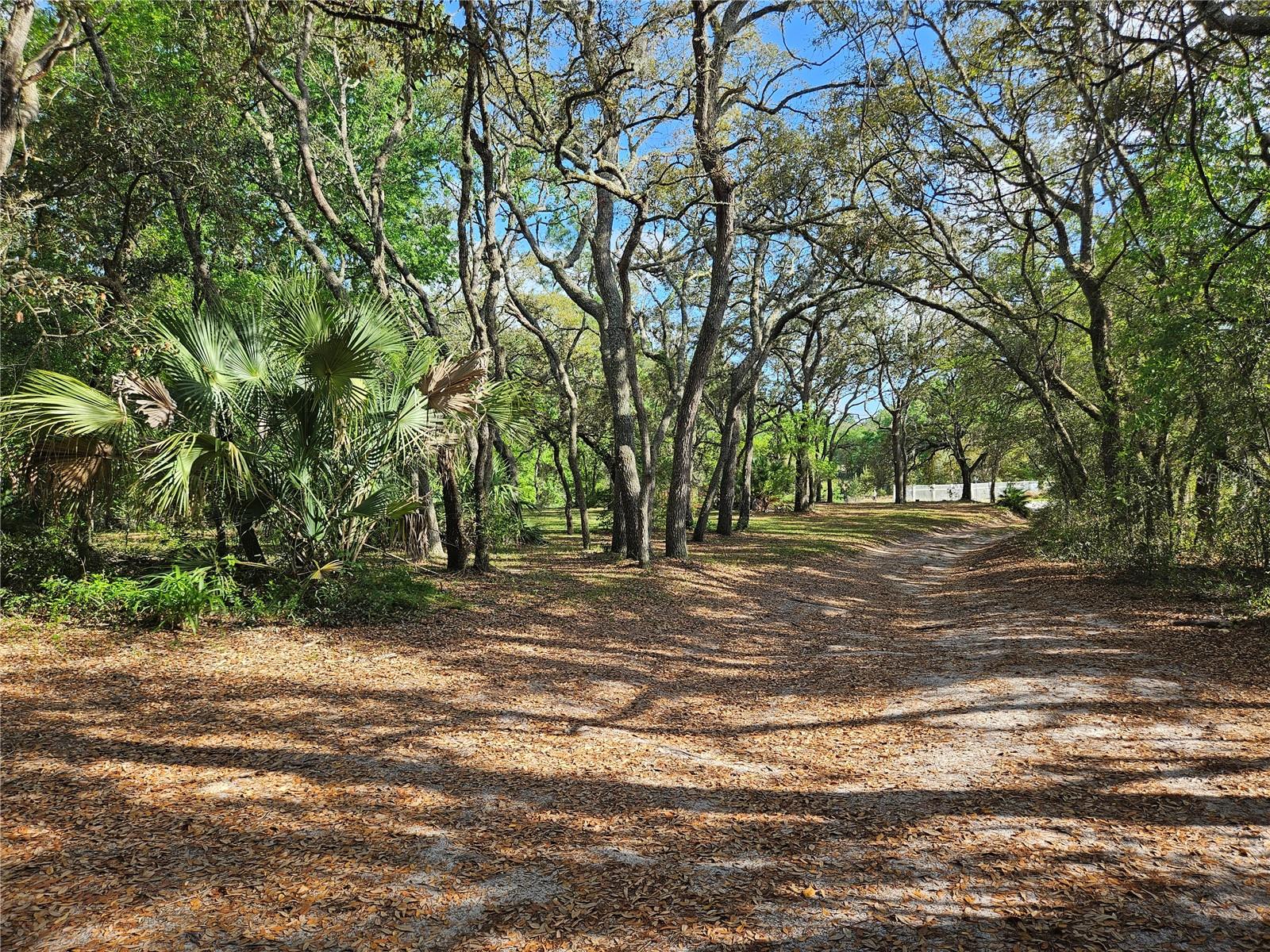 16527 SW 47TH PLACE RD, OCALA, FL, 34481