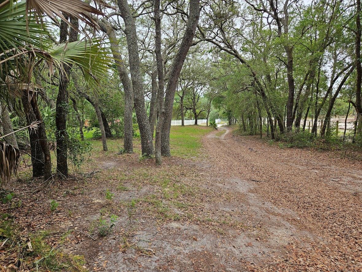 16527 SW 47TH PLACE RD, OCALA, FL, 34481