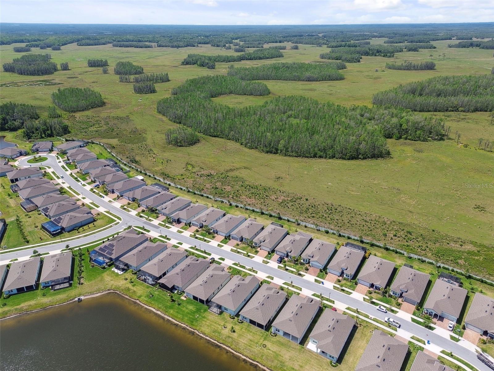 5858 SHOREBIRD BR, LAND O LAKES, FL, 34638