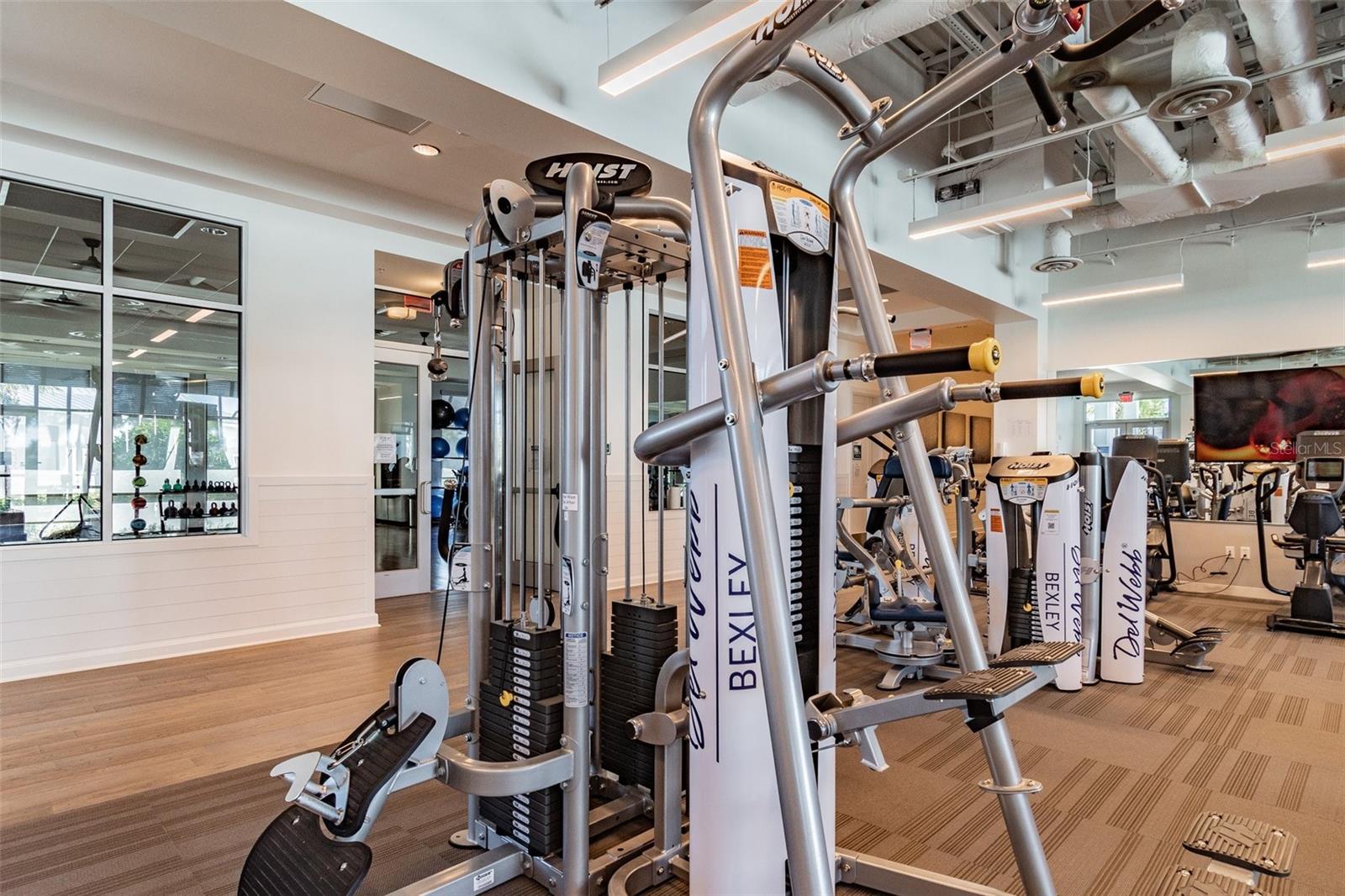 5858 SHOREBIRD BR, LAND O LAKES, FL, 34638