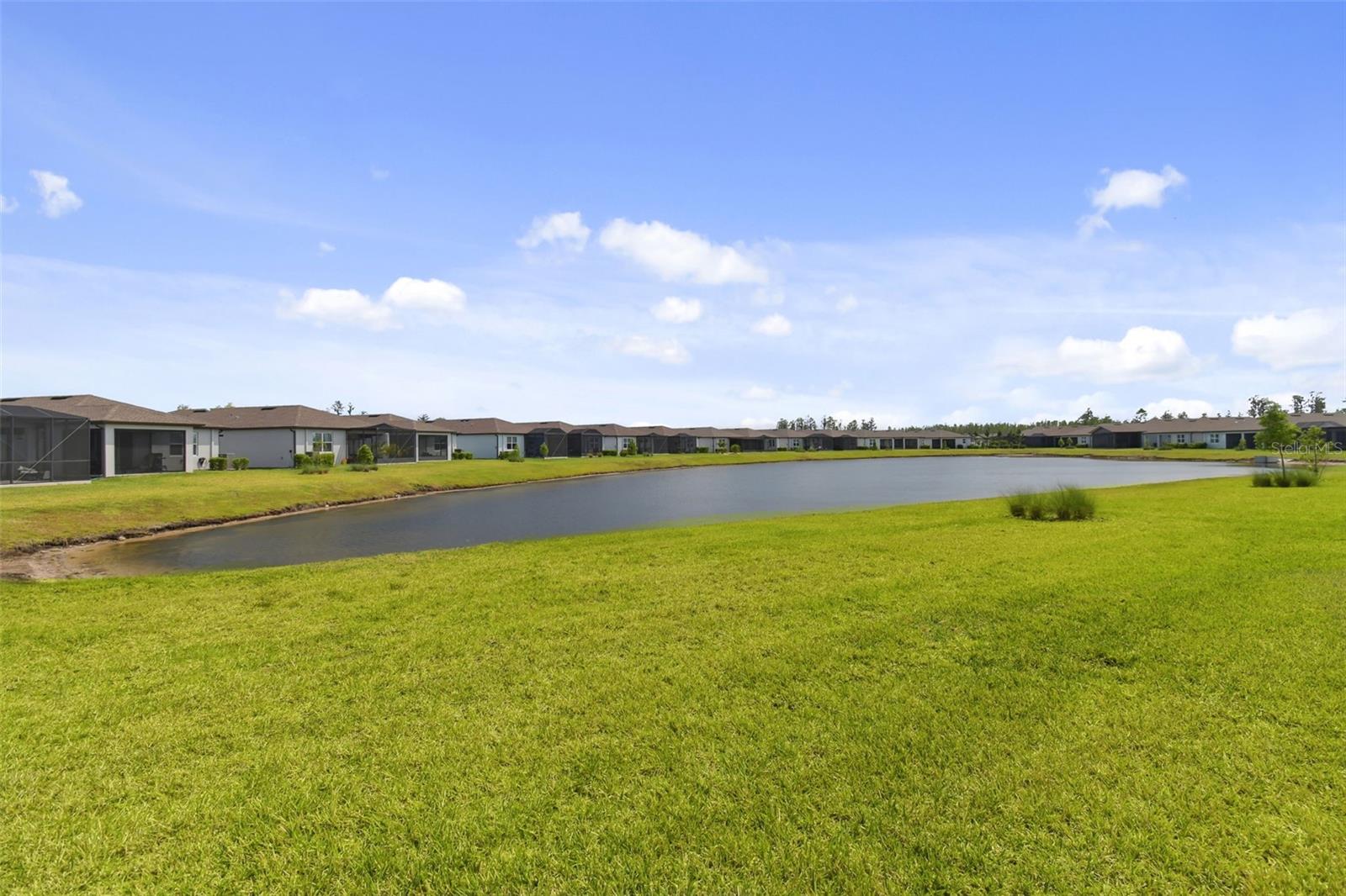 5858 SHOREBIRD BR, LAND O LAKES, FL, 34638