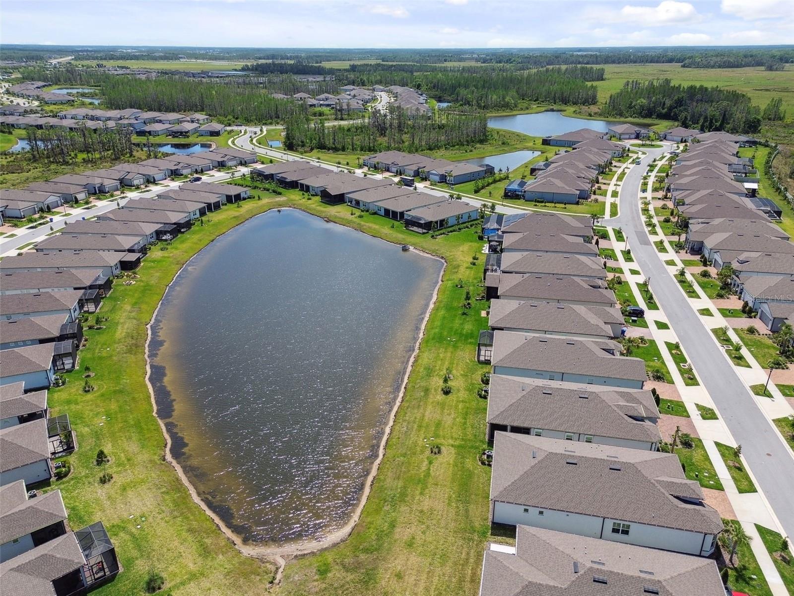 5858 SHOREBIRD BR, LAND O LAKES, FL, 34638