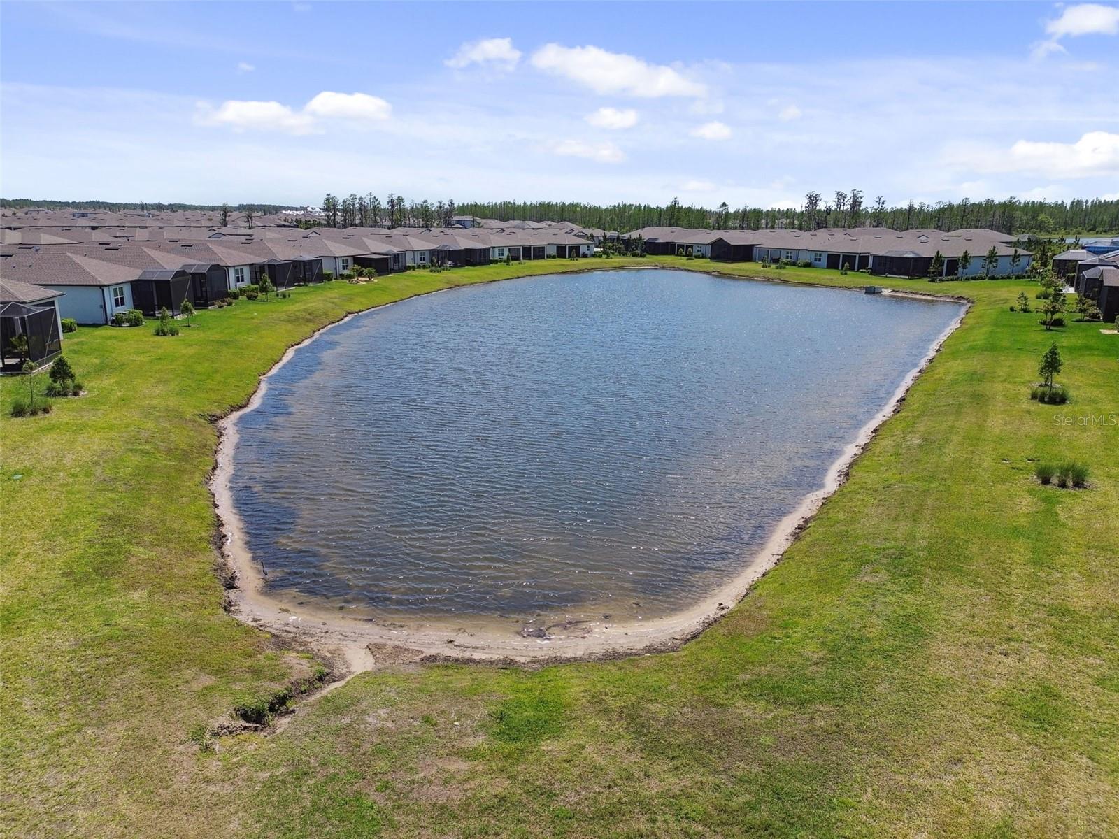 5858 SHOREBIRD BR, LAND O LAKES, FL, 34638