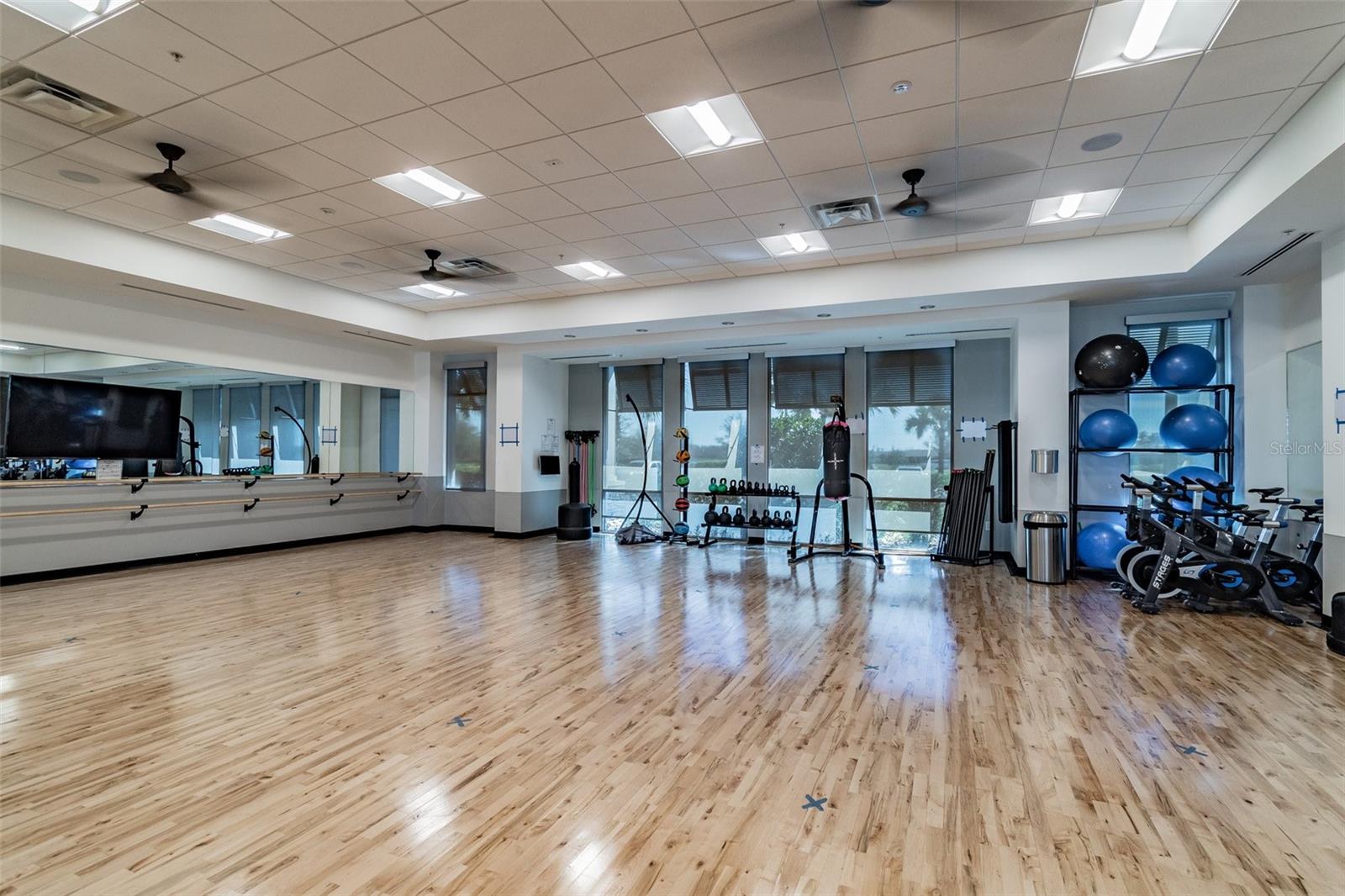 5858 SHOREBIRD BR, LAND O LAKES, FL, 34638