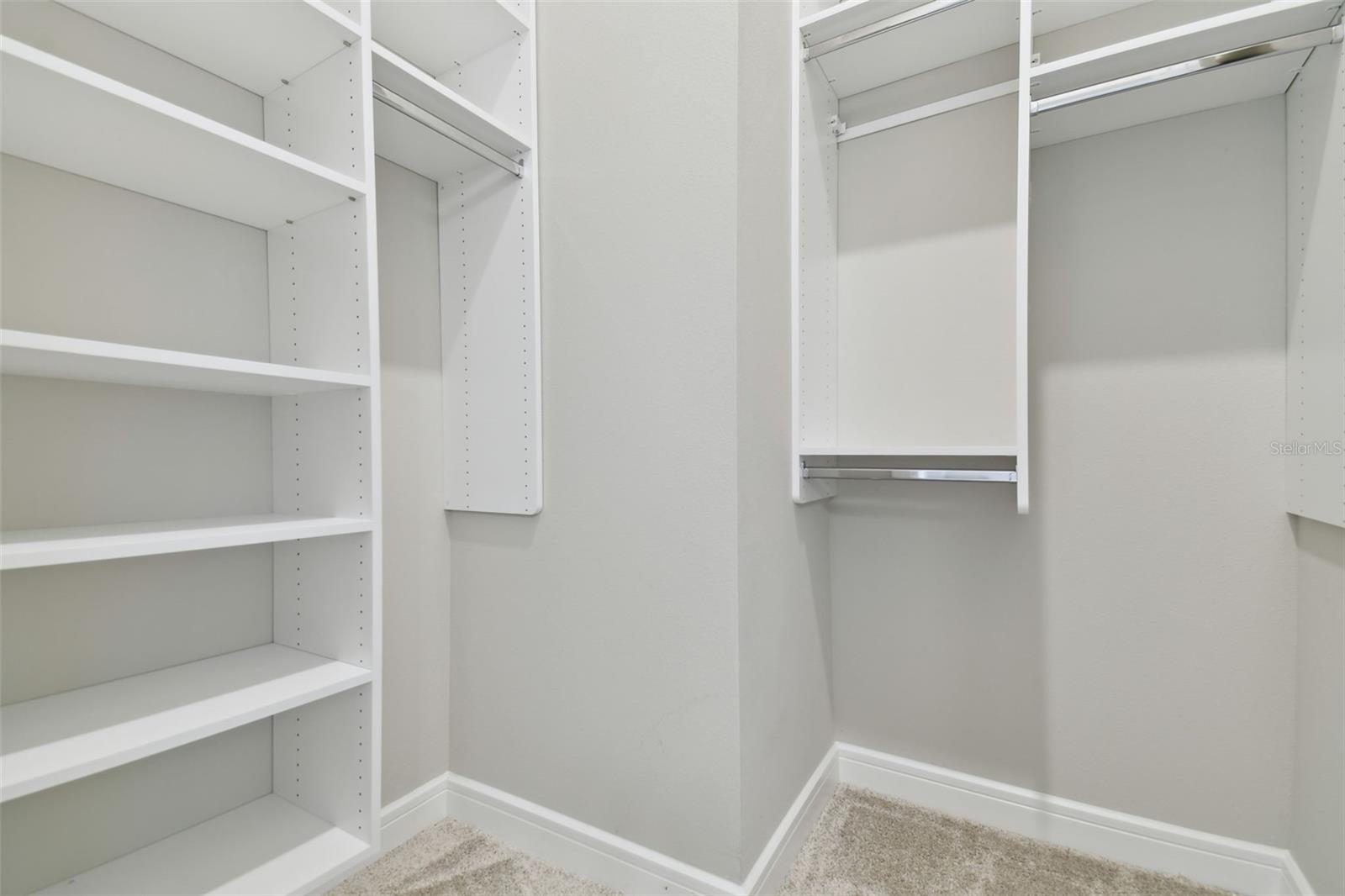 5858 SHOREBIRD BR, LAND O LAKES, FL, 34638