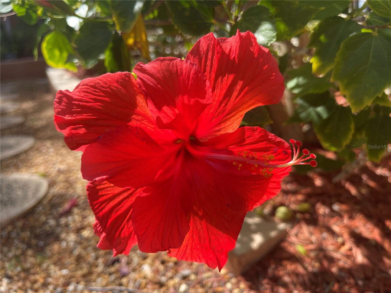 12760 INDIAN ROCKS RD #802, LARGO, FL, 33774