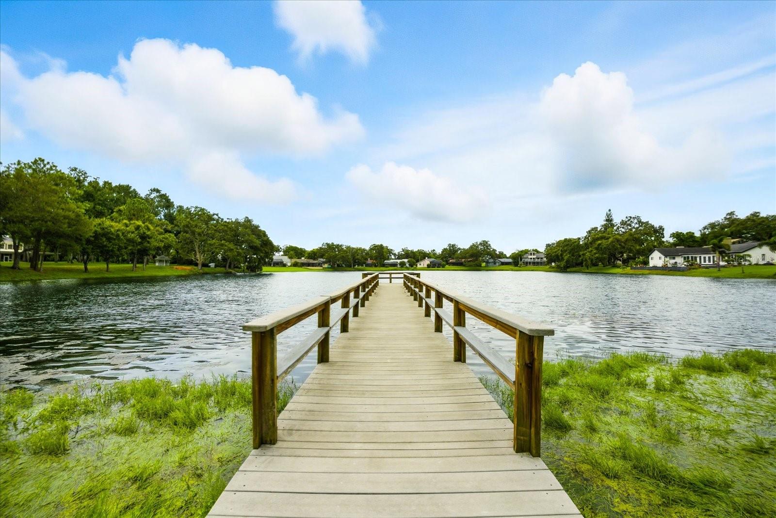 2840 VALENCIA LN W, PALM HARBOR, FL, 34684